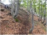 Brinje - Planica